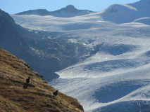 SAC Europaweg Zermatt- Täschalp