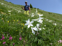 Jaunpass_Horneggli_Lauenen-25