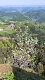IMG-20250509-WA0005