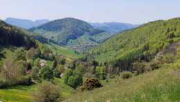 IMG-20250509-WA0008