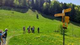 IMG-20250509-WA0009