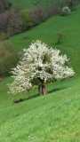 IMG-20250425-WA0005