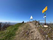 IMG-20250411-WA0015