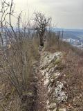 IMG-20250321-WA0028