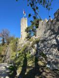 IMG-20250404-WA0017