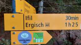 250313_6-Lichtblumen