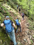 image10