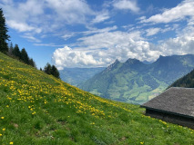 image14