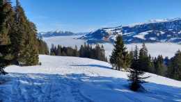 IMG-20250206-WA0003