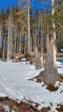 IMG-20250206-WA0013